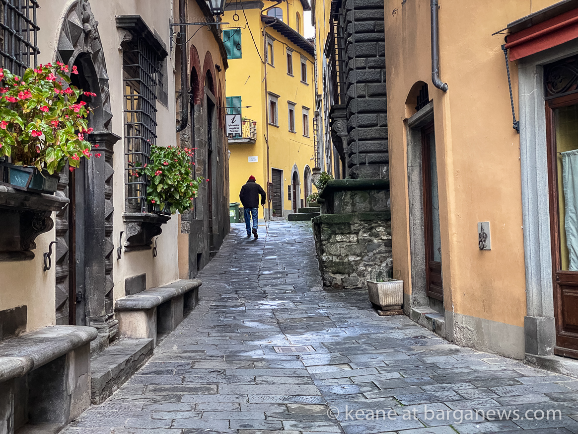 Daily image 11th November 2019