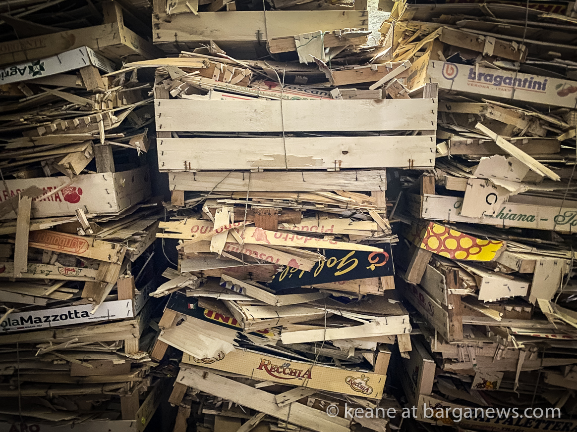 Daily image 12th November 2019