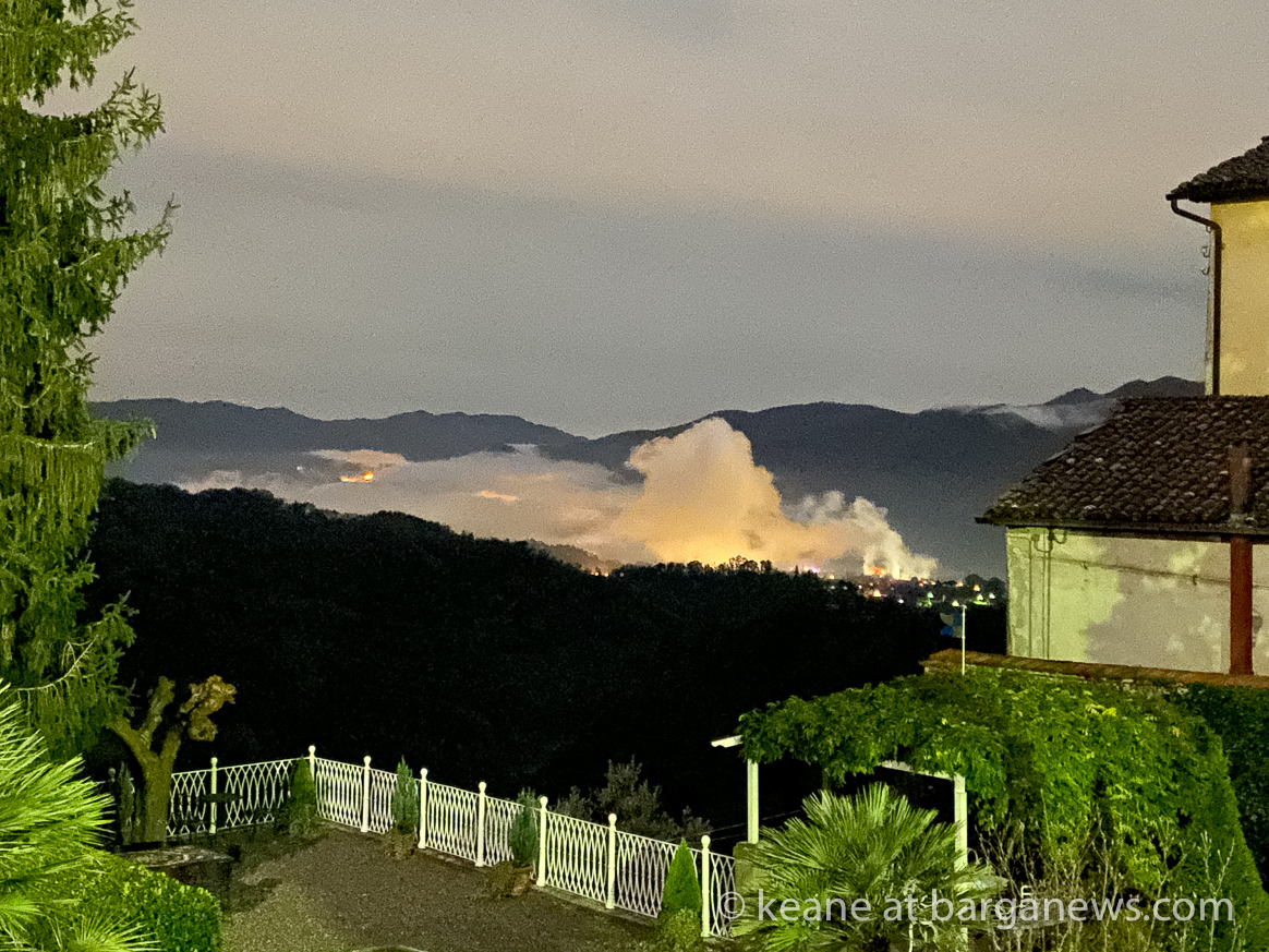 Daily image 14th November 2019