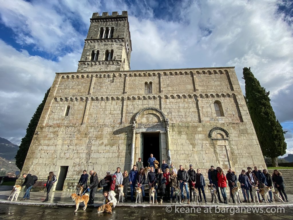 A day out for the Akita dogs in Barga