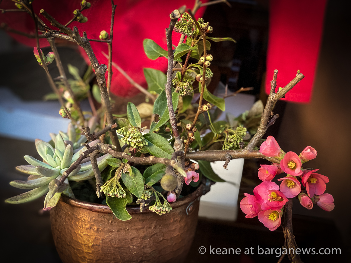 Daily Image – 16th February 2020