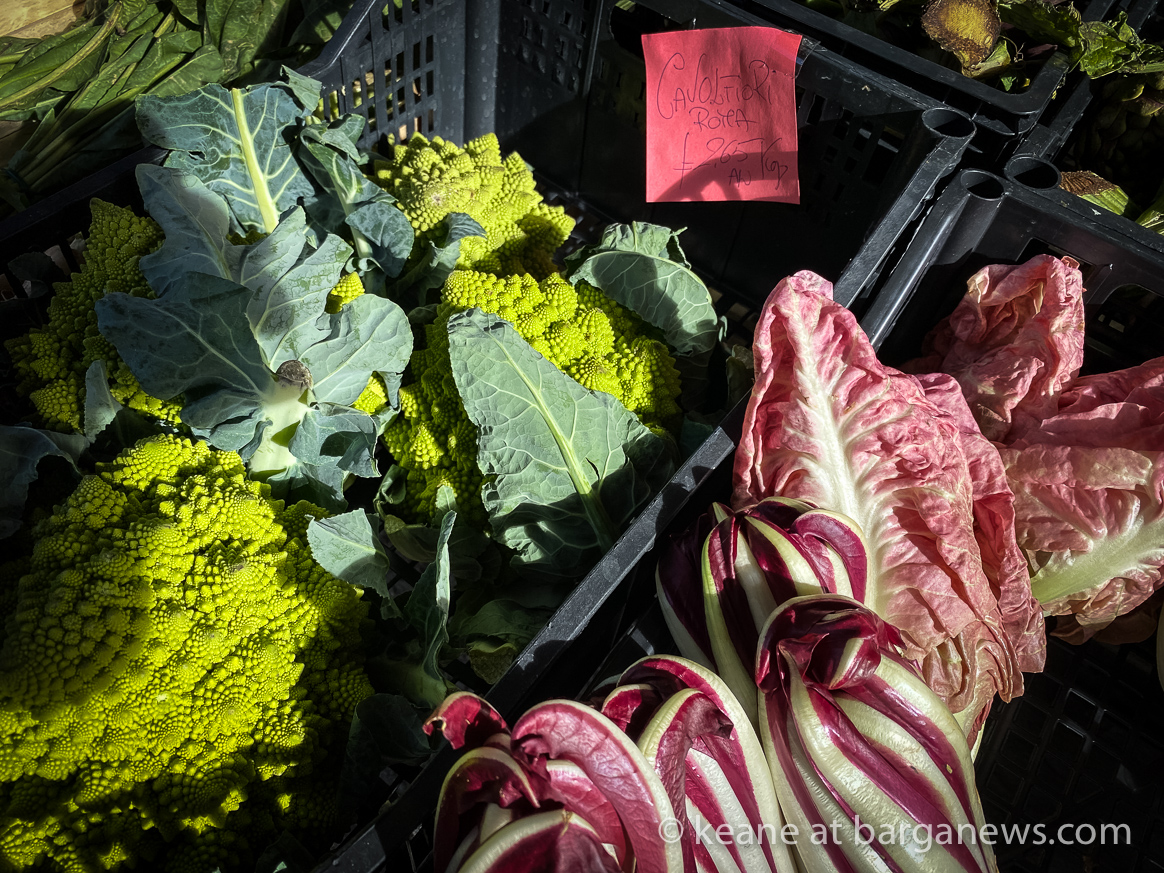 Daily Image – 4th February 2020