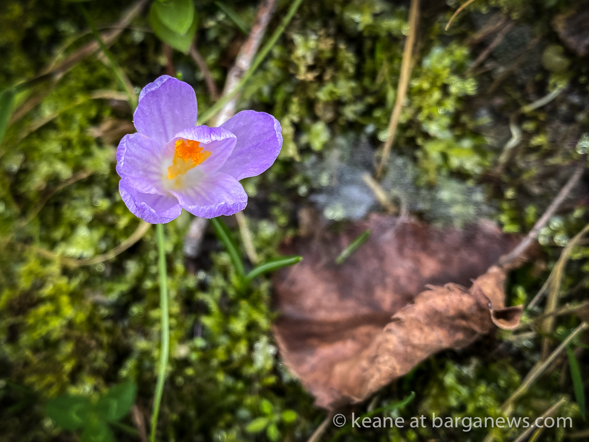 Daily Image – 13th February 2020