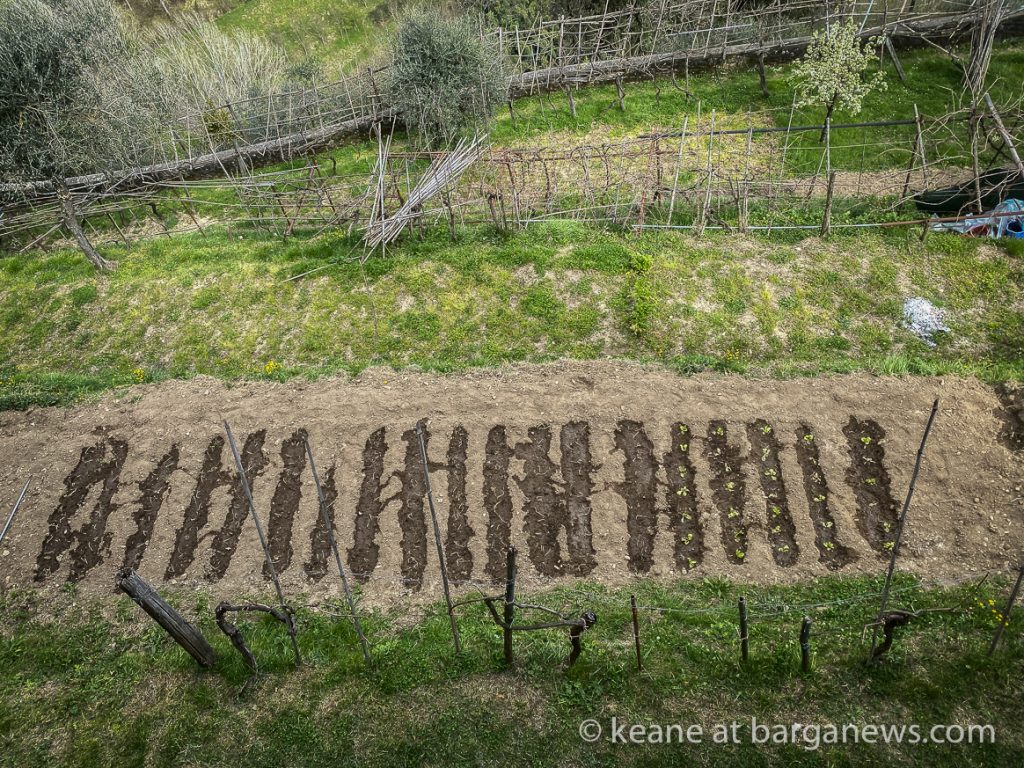 Daily Image – 29th March 2020