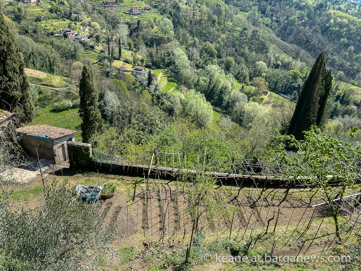 Daily Image – 14th April 2020