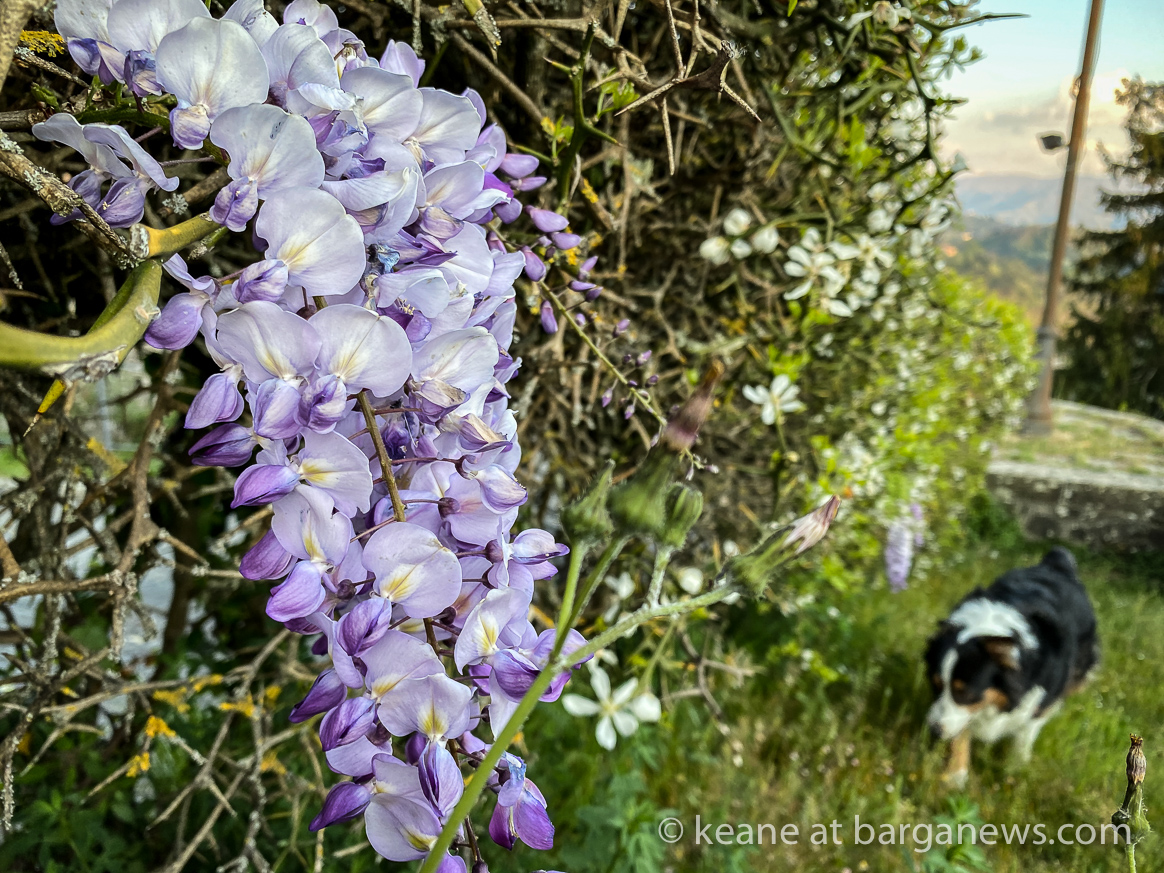 Daily Image – 15th April 2020