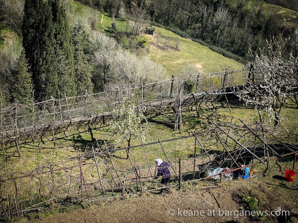 Daily Image – 8th April 2020