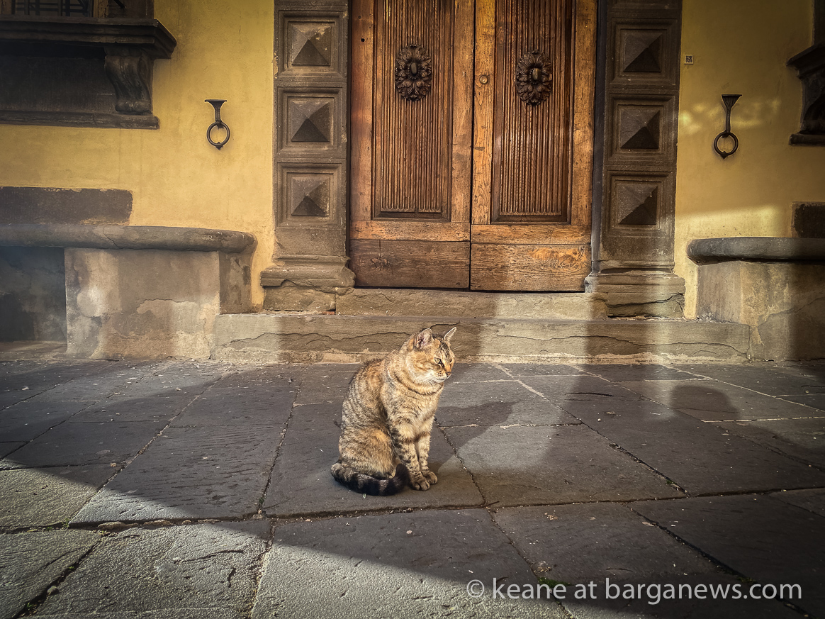 Daily Image – 2nd April 2020