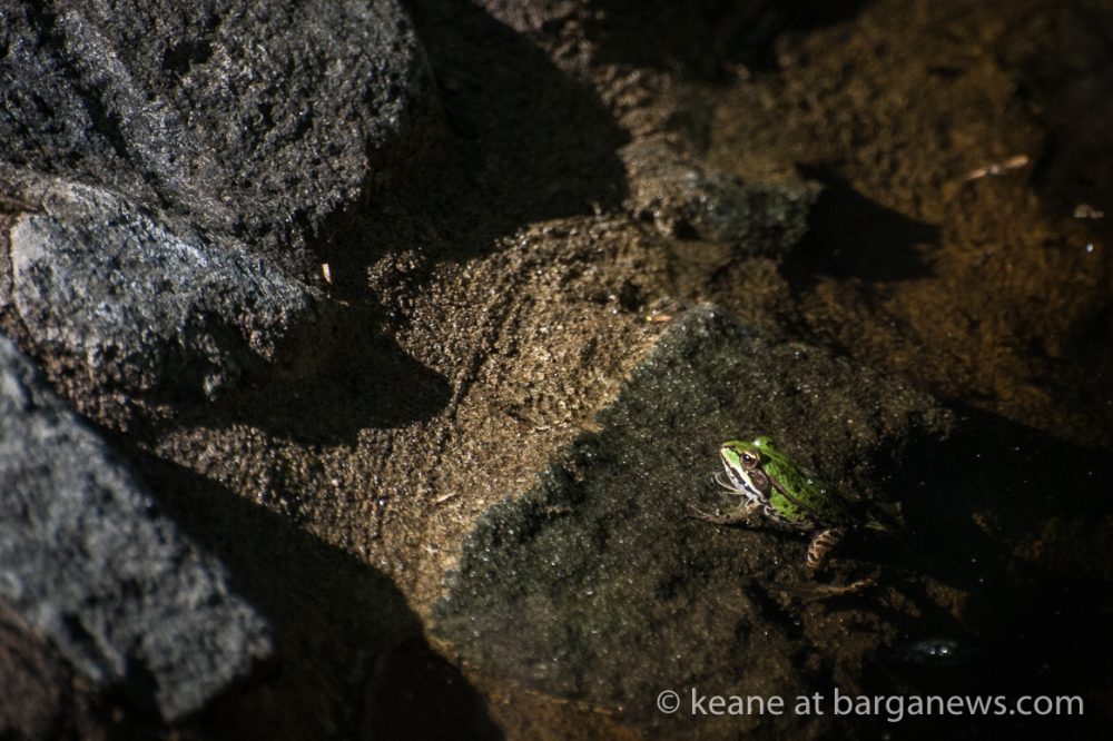 images from barga -1438