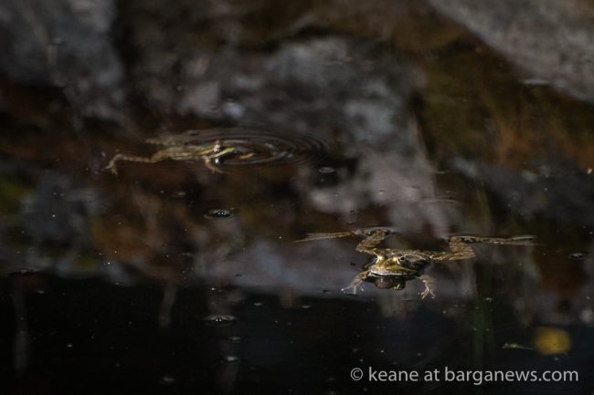 images from barga -1451