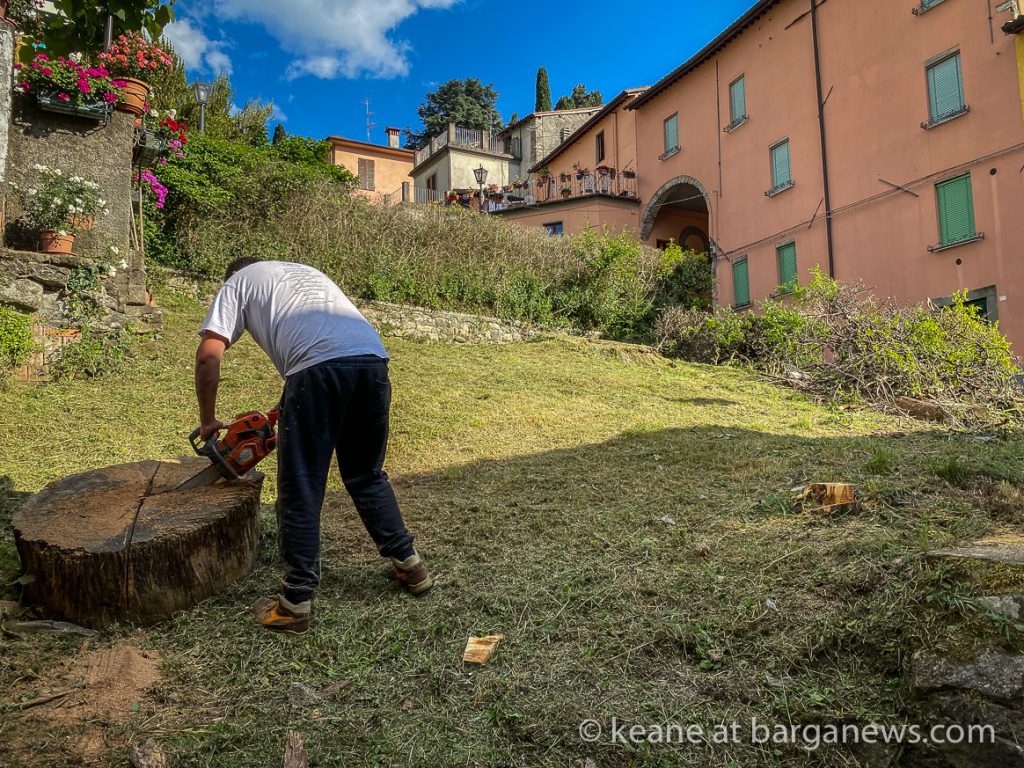 Don’t let the grass grow