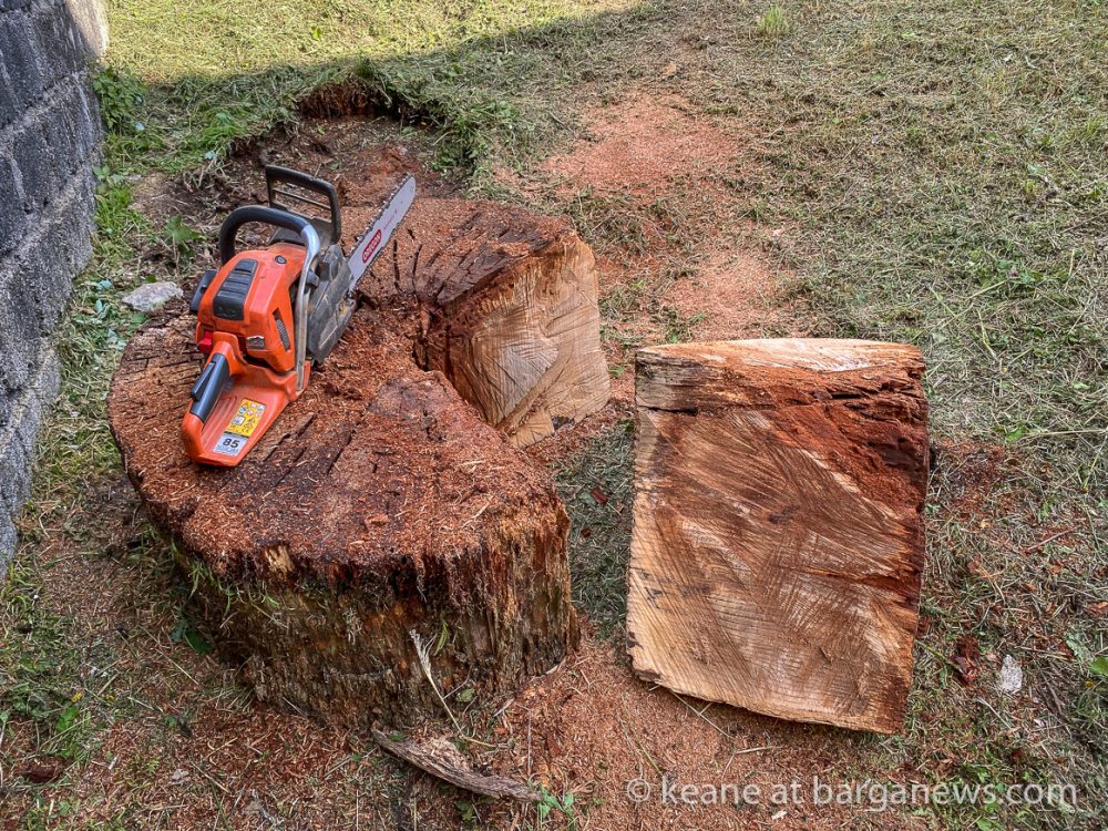 images from barga -2519