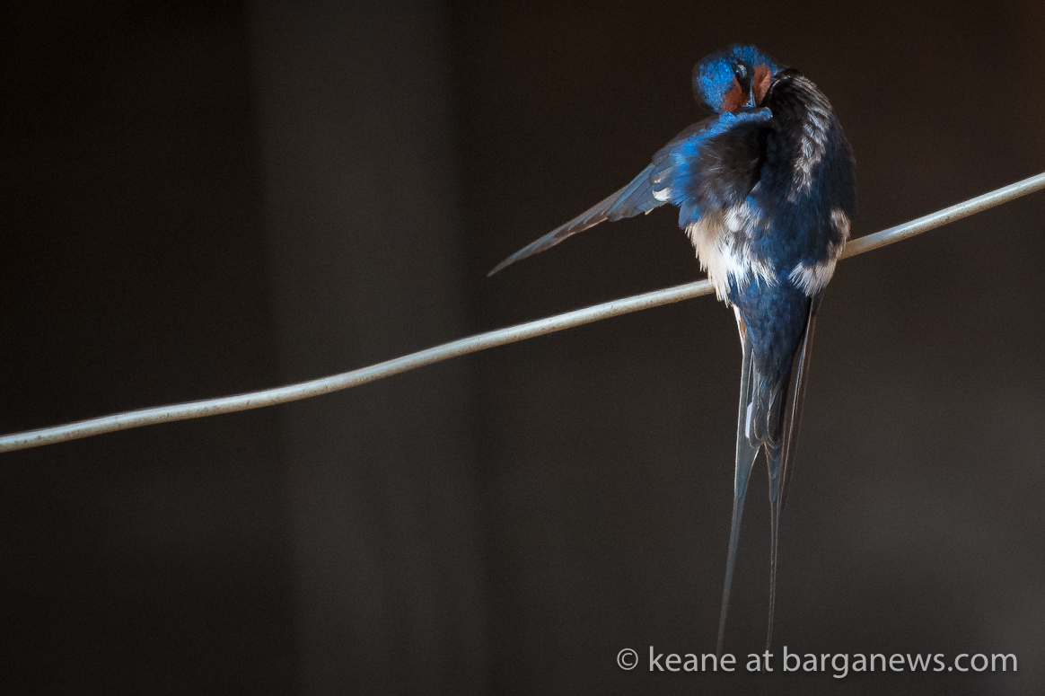 Daily Image – 6th May 2020