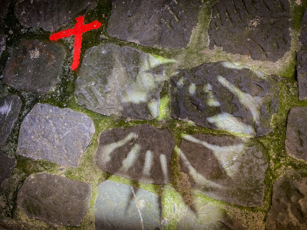 Daily Image 28th June 2020