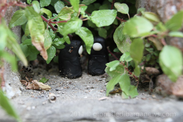 images from daily life in barga