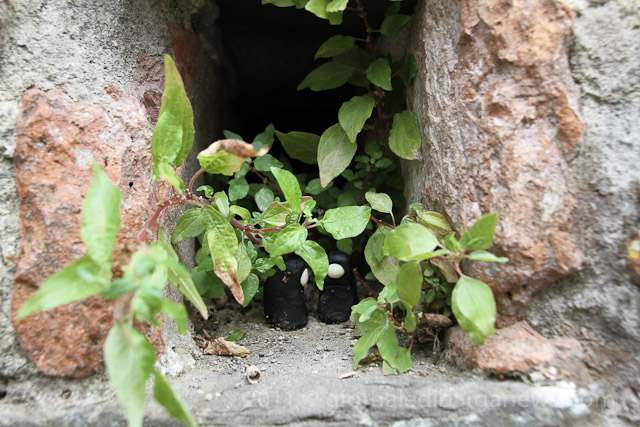 images from daily life in barga