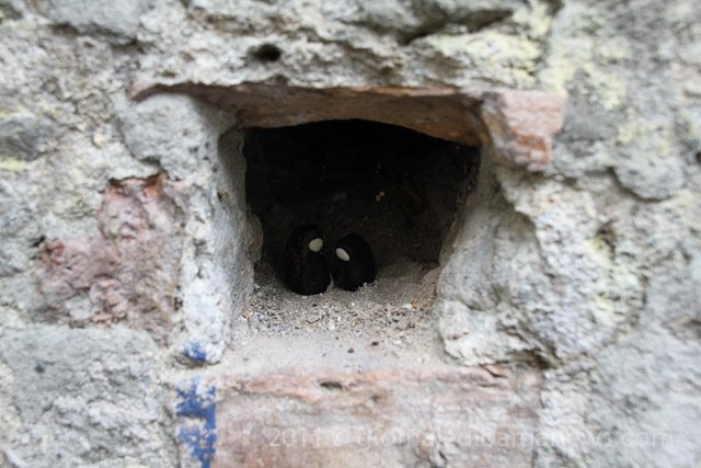 images from daily life in barga