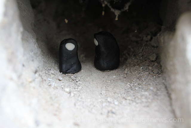 images from daily life in barga