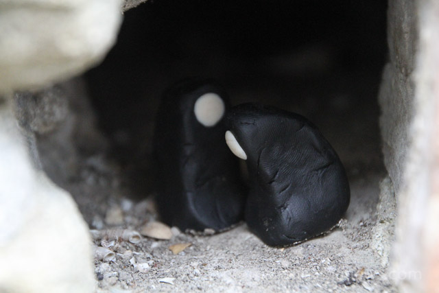 images from daily life in barga