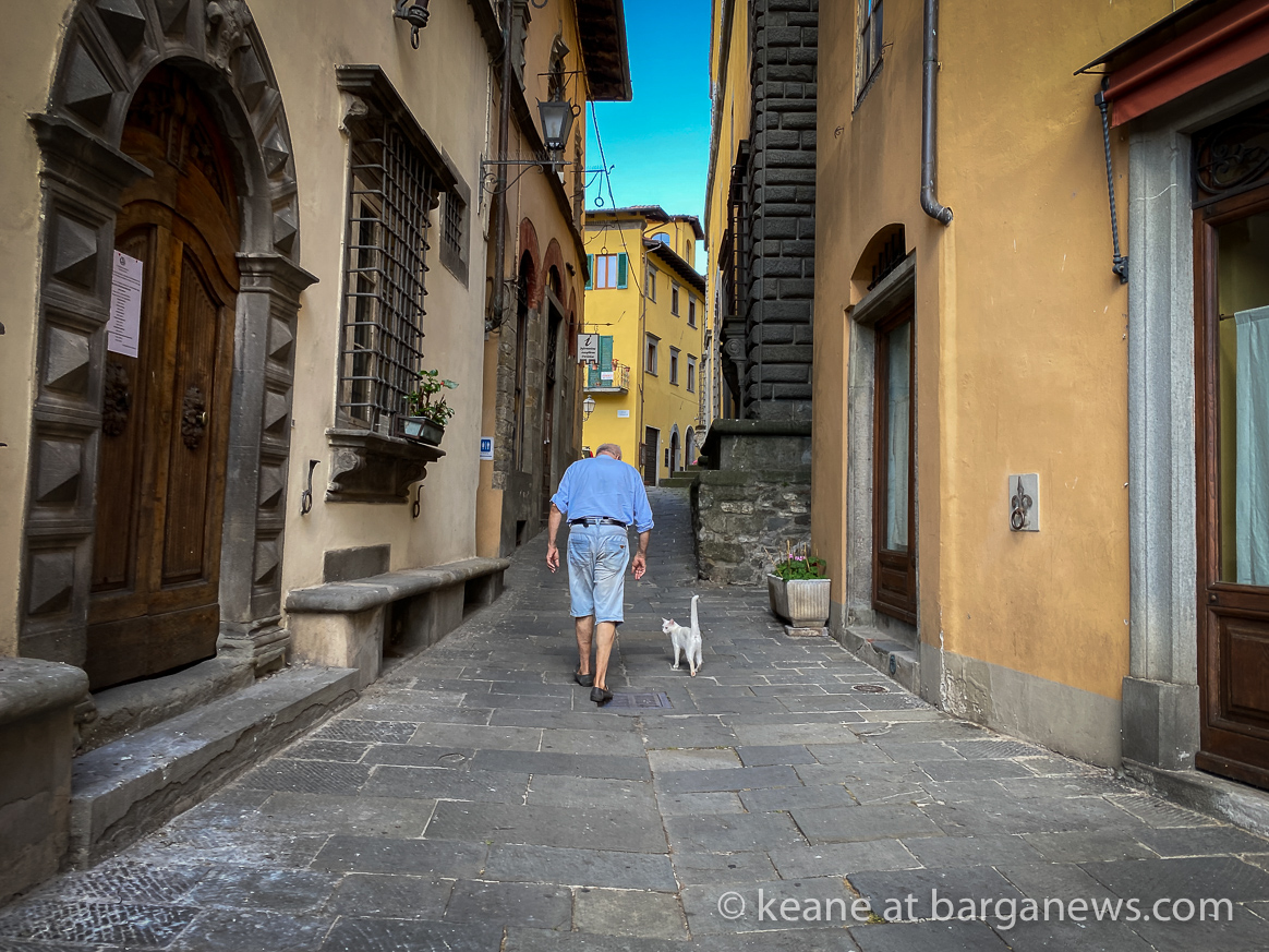 Video: Tail held high in Barga Vecchia