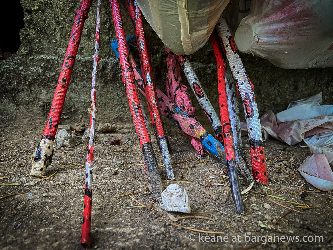 images from barga -4901