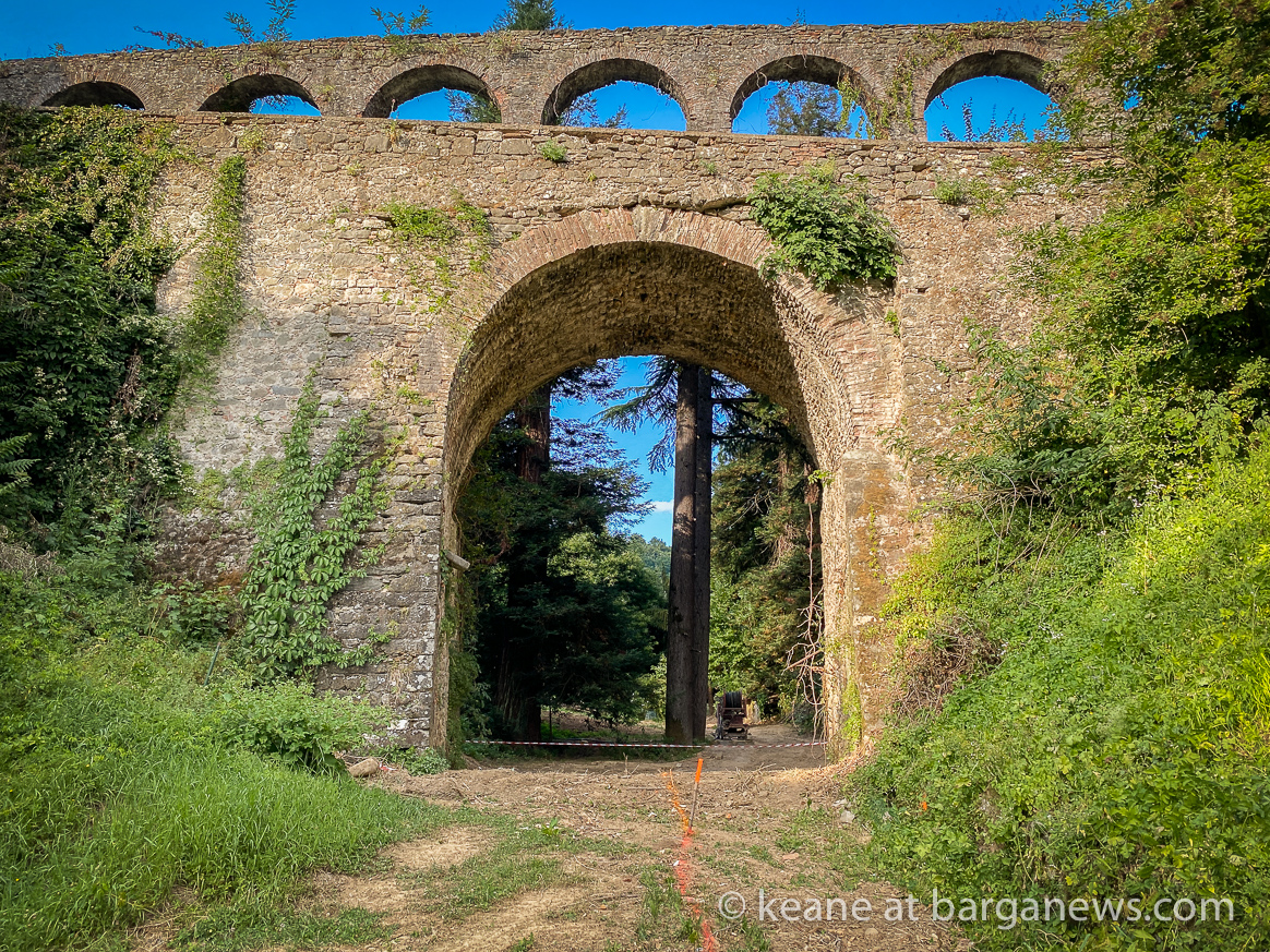 Daily Image 17th July 2020