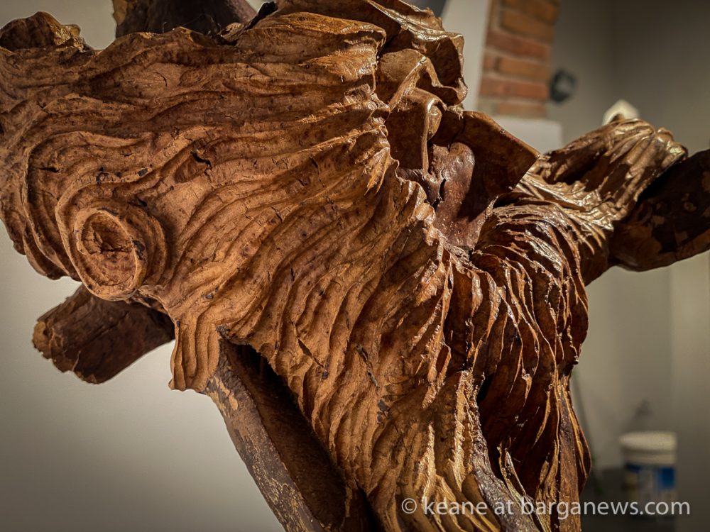 images from barga -5274