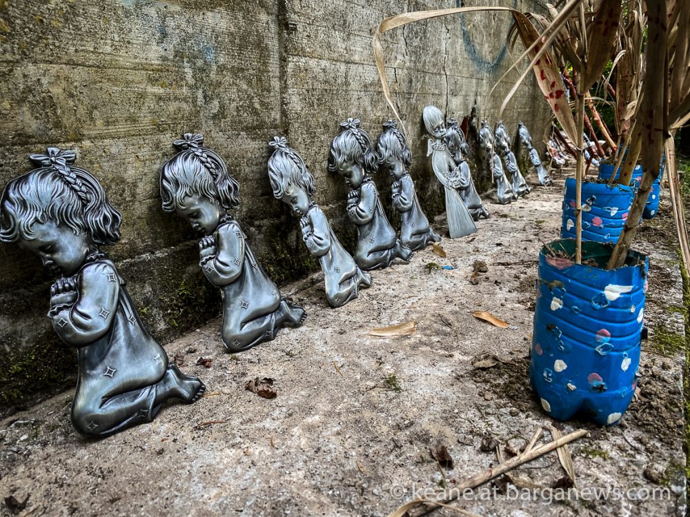 images from barga -6979