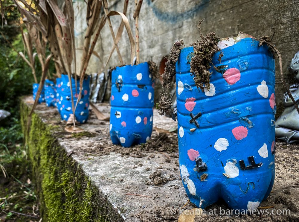 images from barga -6984