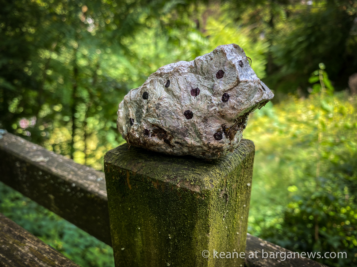 Daily Image 5th August 2020