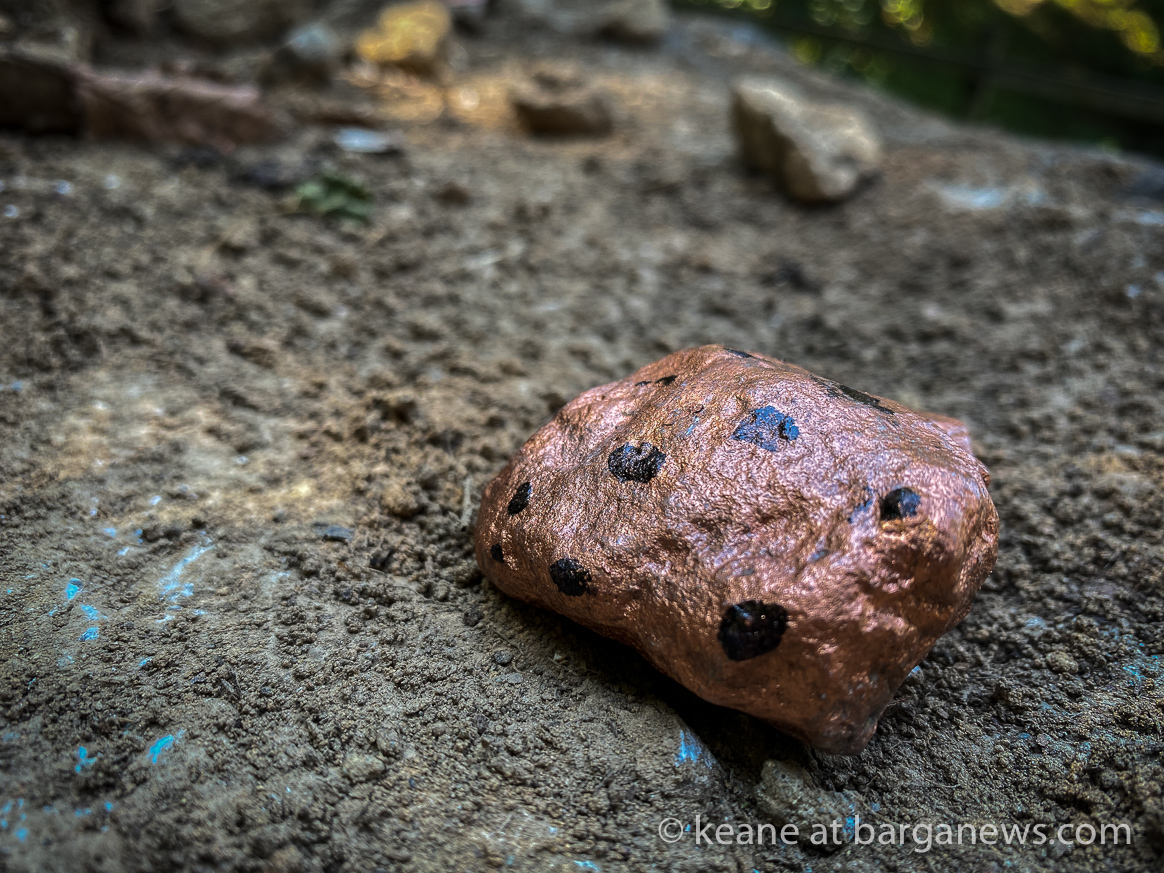 images from barga -7336