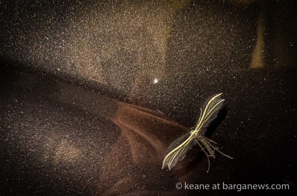 Daily Image 25th August 2020