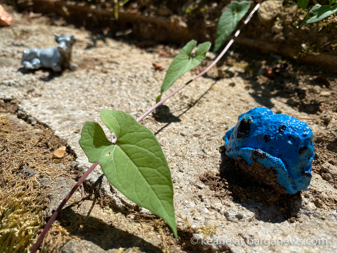 images from barga -8303