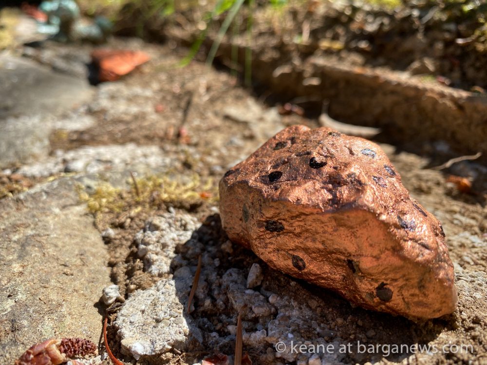 images from barga -8304