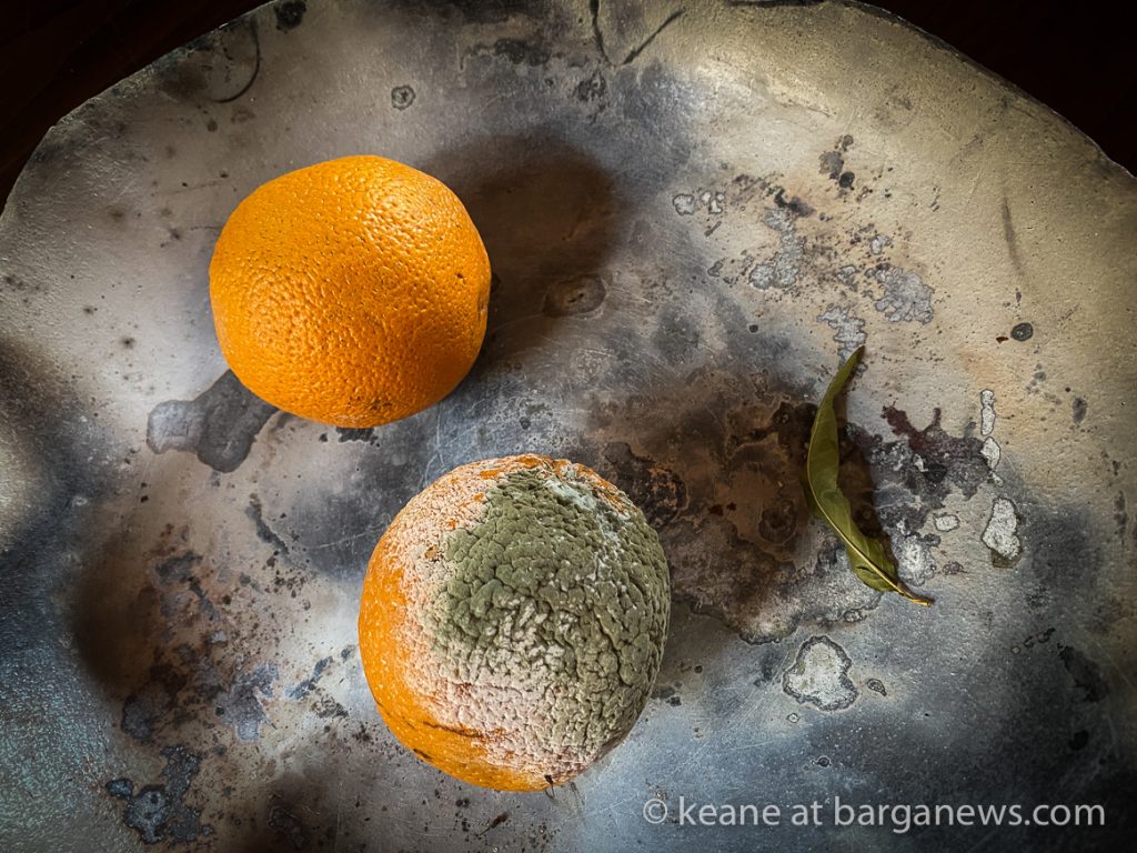 Daily Image 27th August 2020