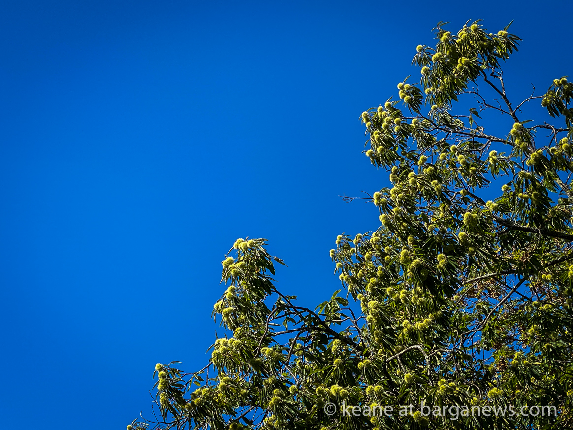 Daily Image 3rd September 2020