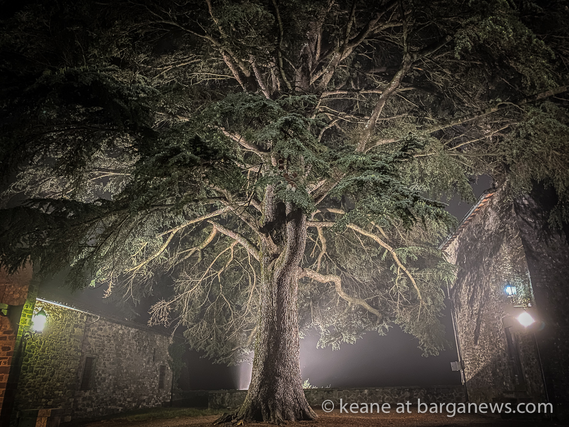 Daily Image 2nd September 2020