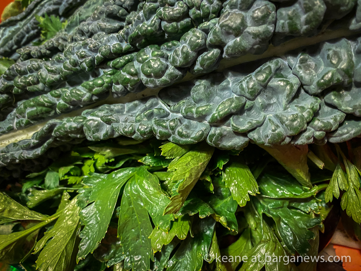 Daily Image 4th September 2020