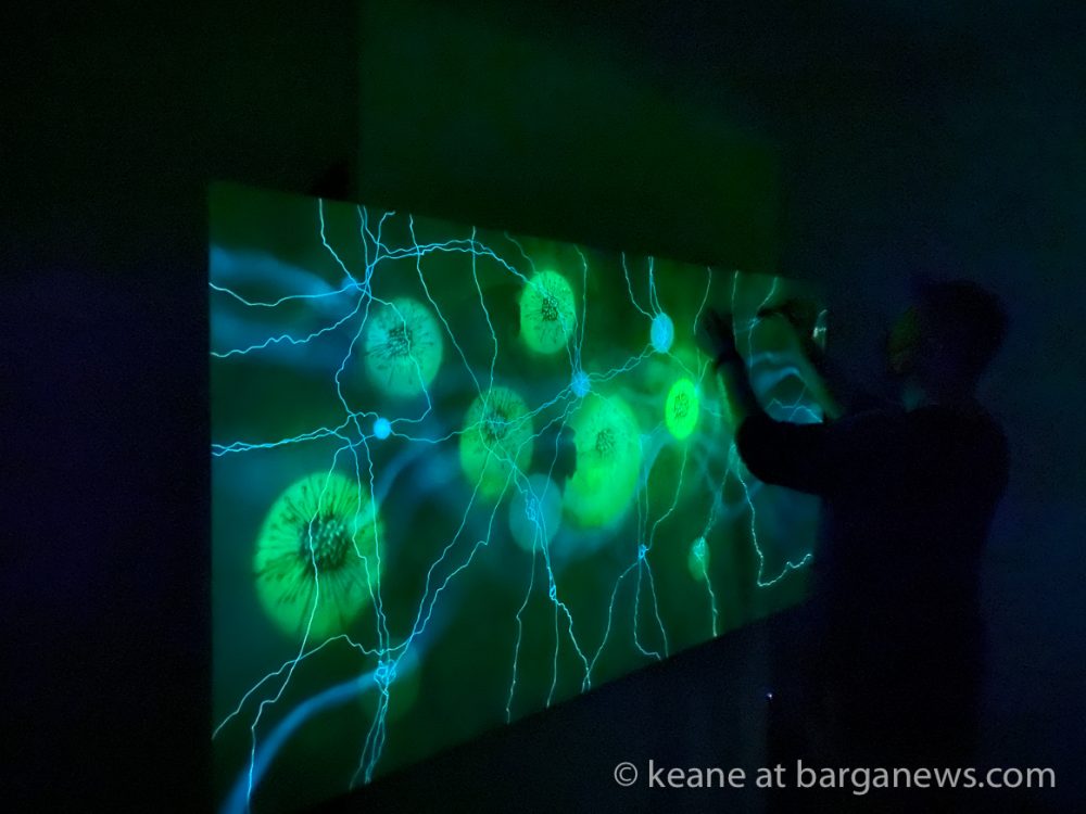 images from barga -10557