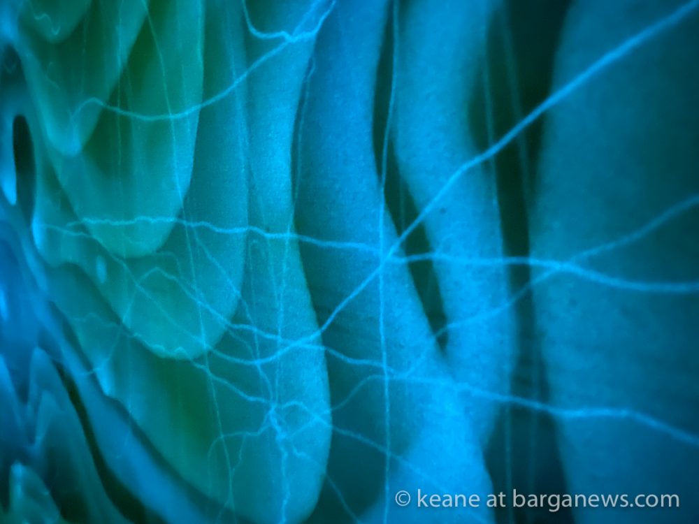 images from barga -10576