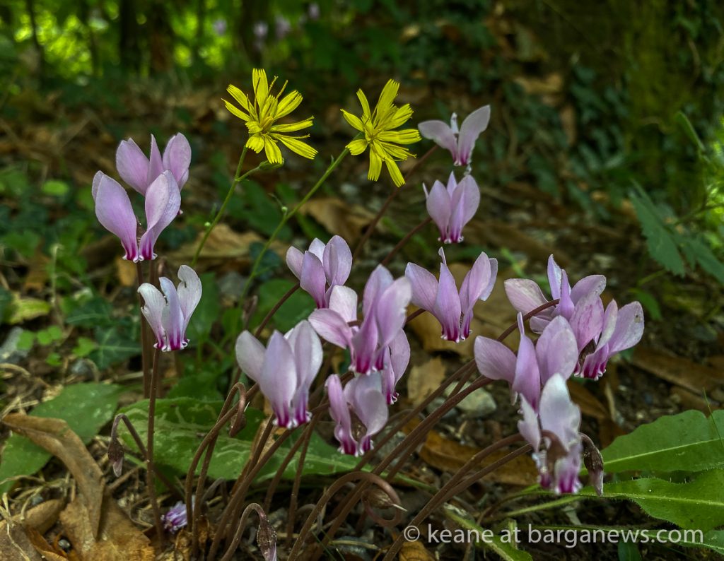 Daily Image 14th September 2020