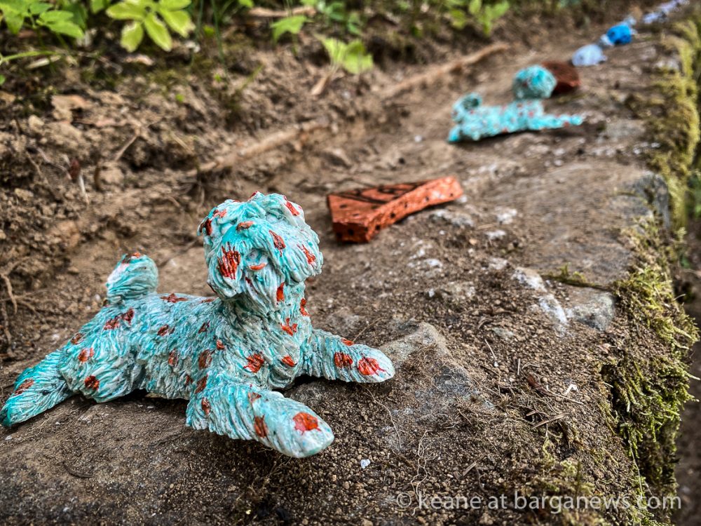 images from barga -6990