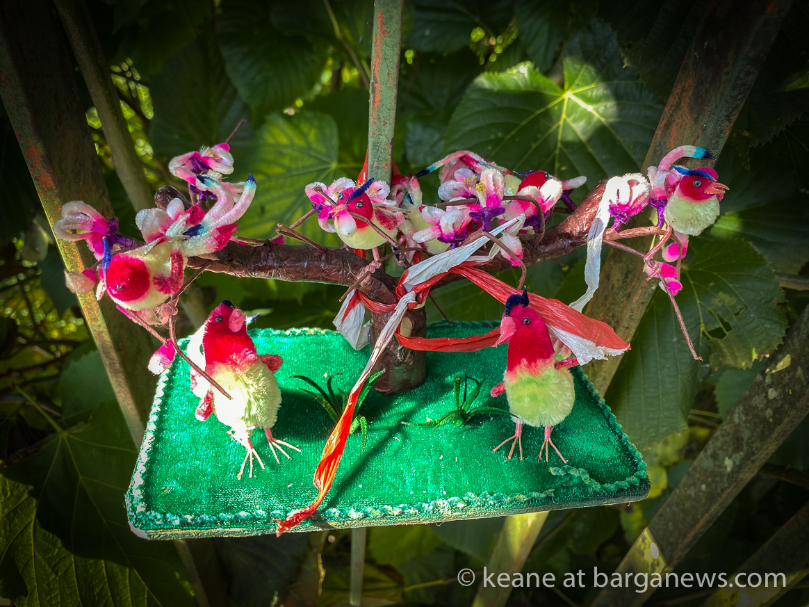 Daily Image 1st October 2020