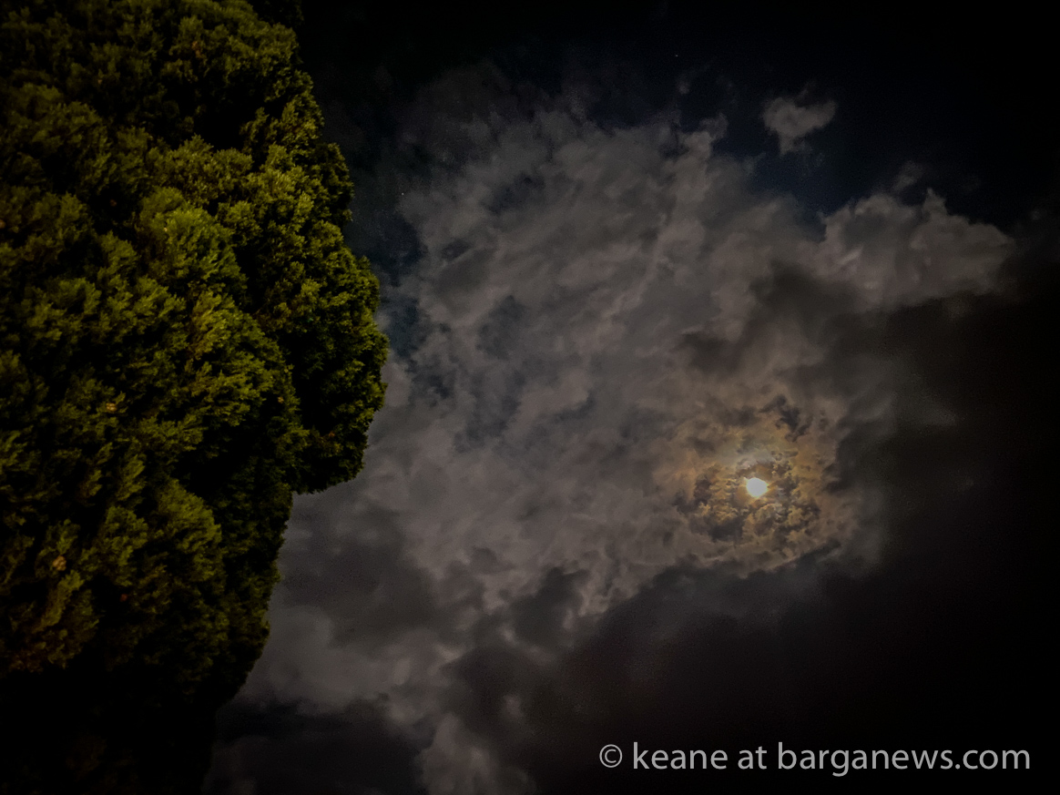 Daily Image 4th October 2020