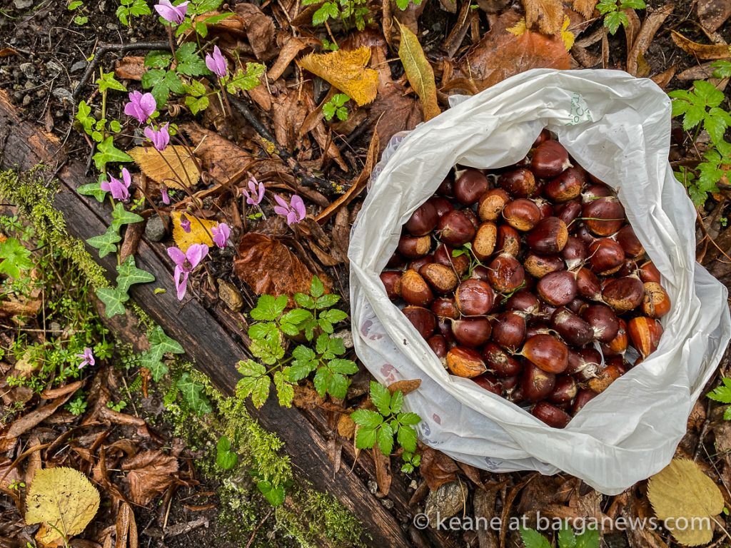 Daily Image 2nd October 2020