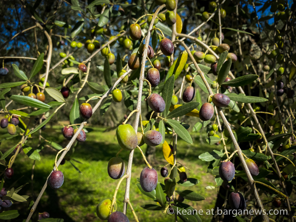 Daily Image 9th October 2020