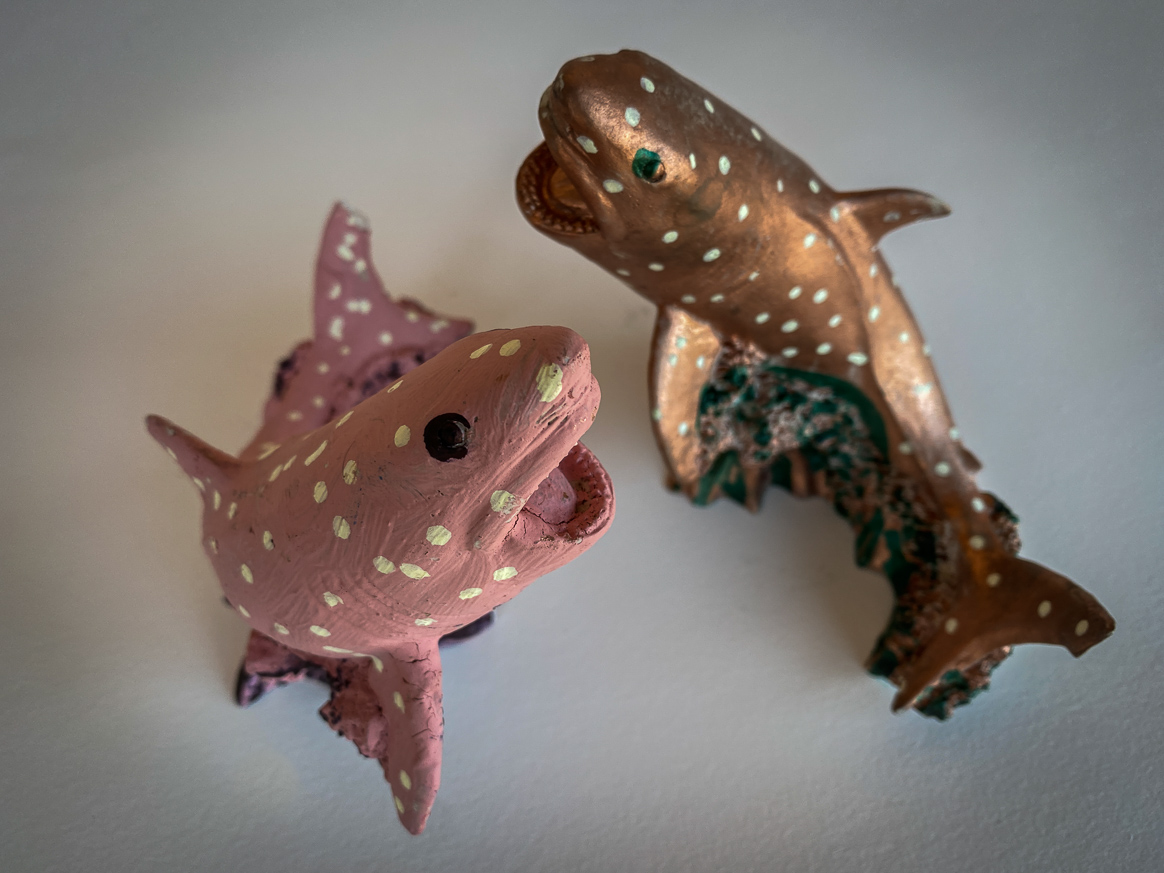 Daily Image 10th October 2020