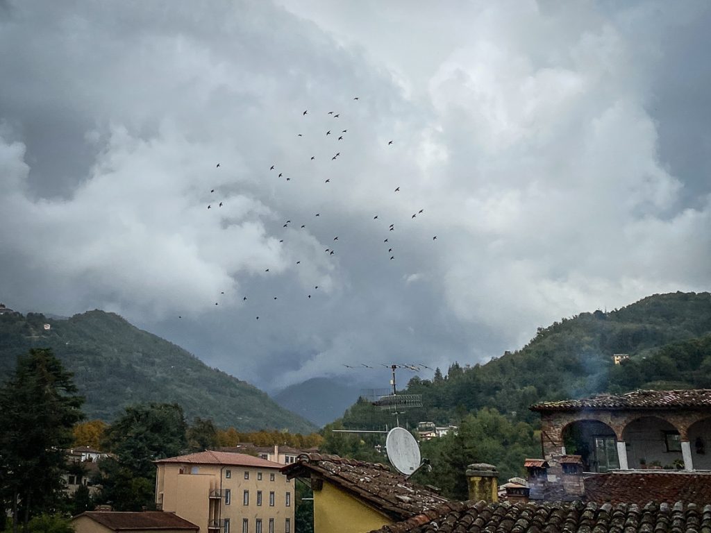 Daily Image 14th October 2020