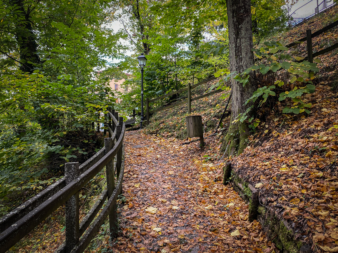 Daily Image 12th October 2020