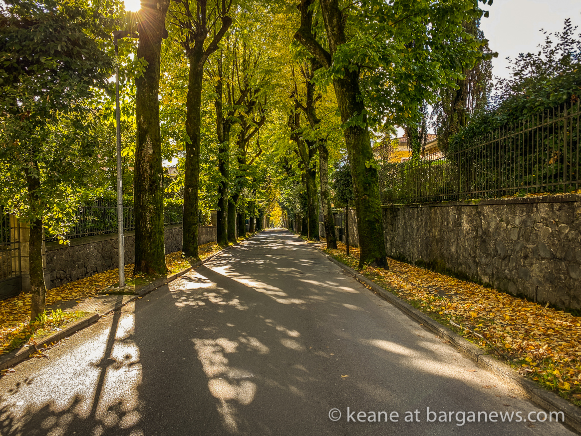 Daily Image 17th October 2020